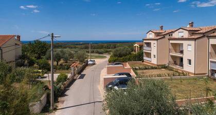 Beautiful apartment in Tar-Vabriga