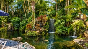 Un jardin paisible avec un étang, une cascade et une végétation luxuriante.