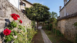 A narrow alleyway with a stone wall on one side and a building on the other. There are red flowers in the foreground.