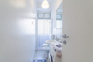 Shower, hair dryer, bidet, towels