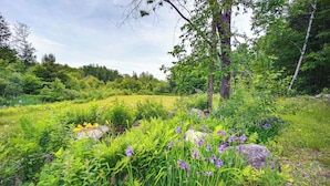Un exuberante jardín con diversas plantas y flores, una gran roca y un árbol.
