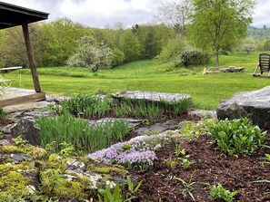 Property grounds - The Pond Cabin at Sky Hollow, The Hunter Cabin at Sky Hollow (Rochester)