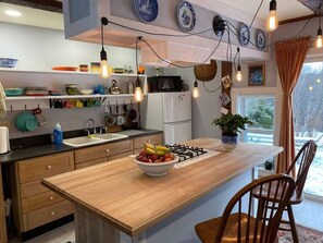 Fridge, microwave, oven, stovetop - The Apartment at Sky Hollow, The Apartment at Sky Hollow (Rochester)
