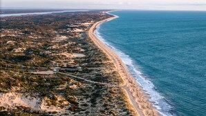 An aerial view of a coastal area with a long sandy beach, dense vegetation, and a clear blue sea.