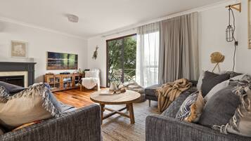 Smart TV, chimenea y libros
