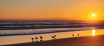 Cozy beach condo with ocean access. Easy drive to Santa Cruz or Monterey.