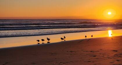 Cozy beach condo with ocean access. Easy drive to Santa Cruz or Monterey.