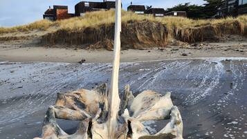 On the beach, sun loungers, beach towels