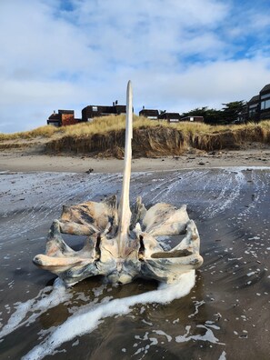 Am Strand, Liegestühle, Strandtücher