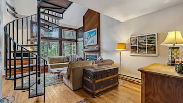 Télévision, cheminée, livres