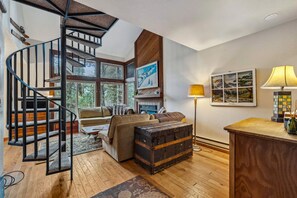 Televisión, chimenea y libros 