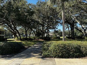 Property grounds - Beautiful Island Condo, excellent beach/village/golf location, FLETC Friendly (St. Simons Island)