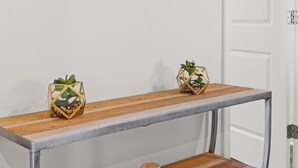 Una habitación con un espejo redondo, una consola de madera con patas metálicas y dos plantas decorativas.