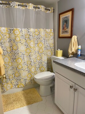 Chuveiro, secador de cabelo, toalhas de banho, sabonete