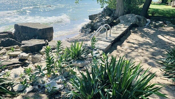 Un jardín costero con un sendero de concreto, rocas grandes y plantas verdes.