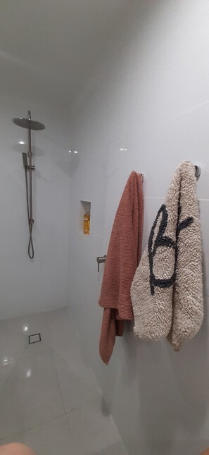 Shower, eco-friendly toiletries, hair dryer, towels