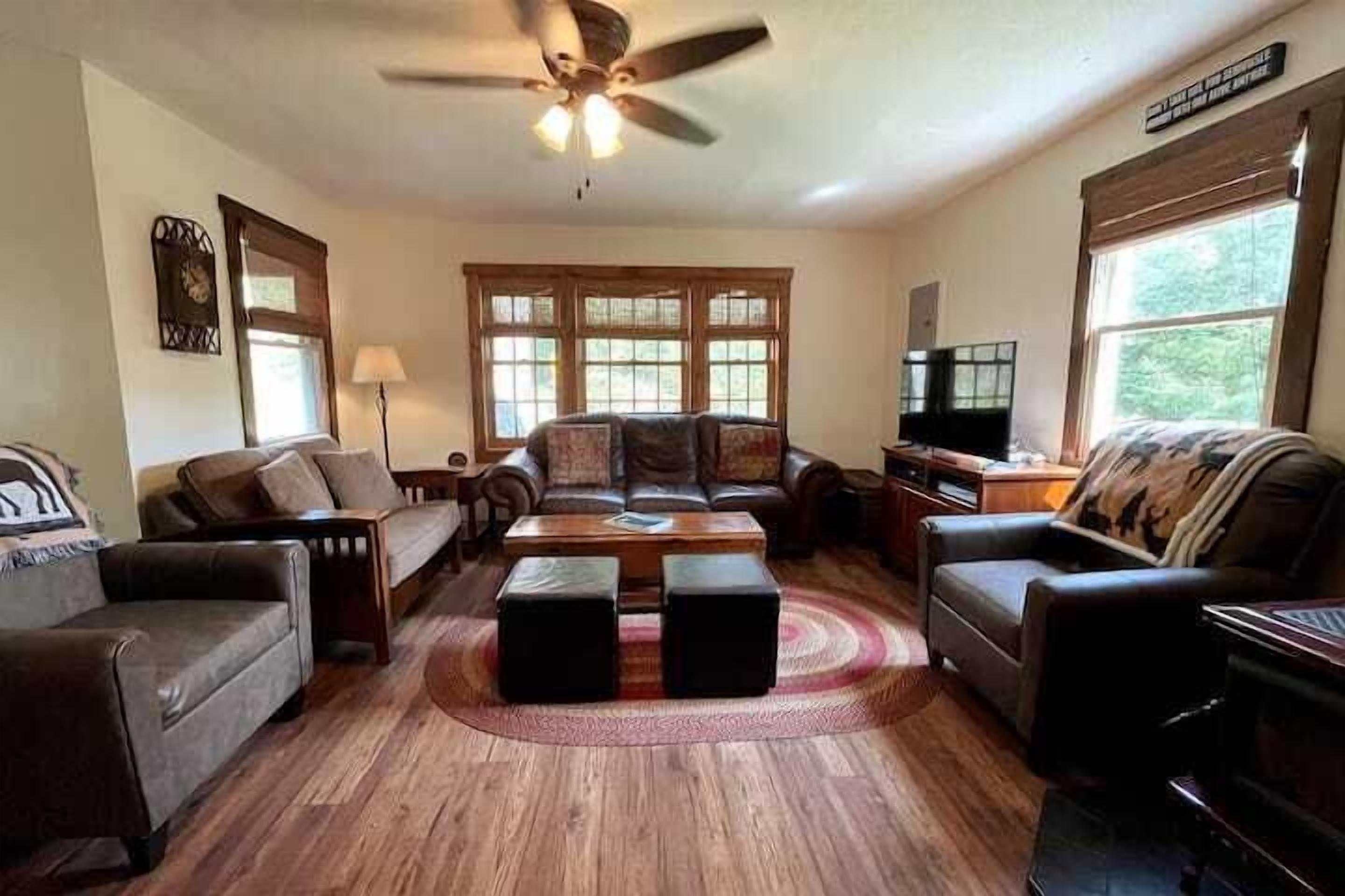 电视、DVD 播放器