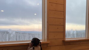 A child standing by a window with a view of a snowy landscape. - View! View! View! Relax in Nature!  (Fairbanks)