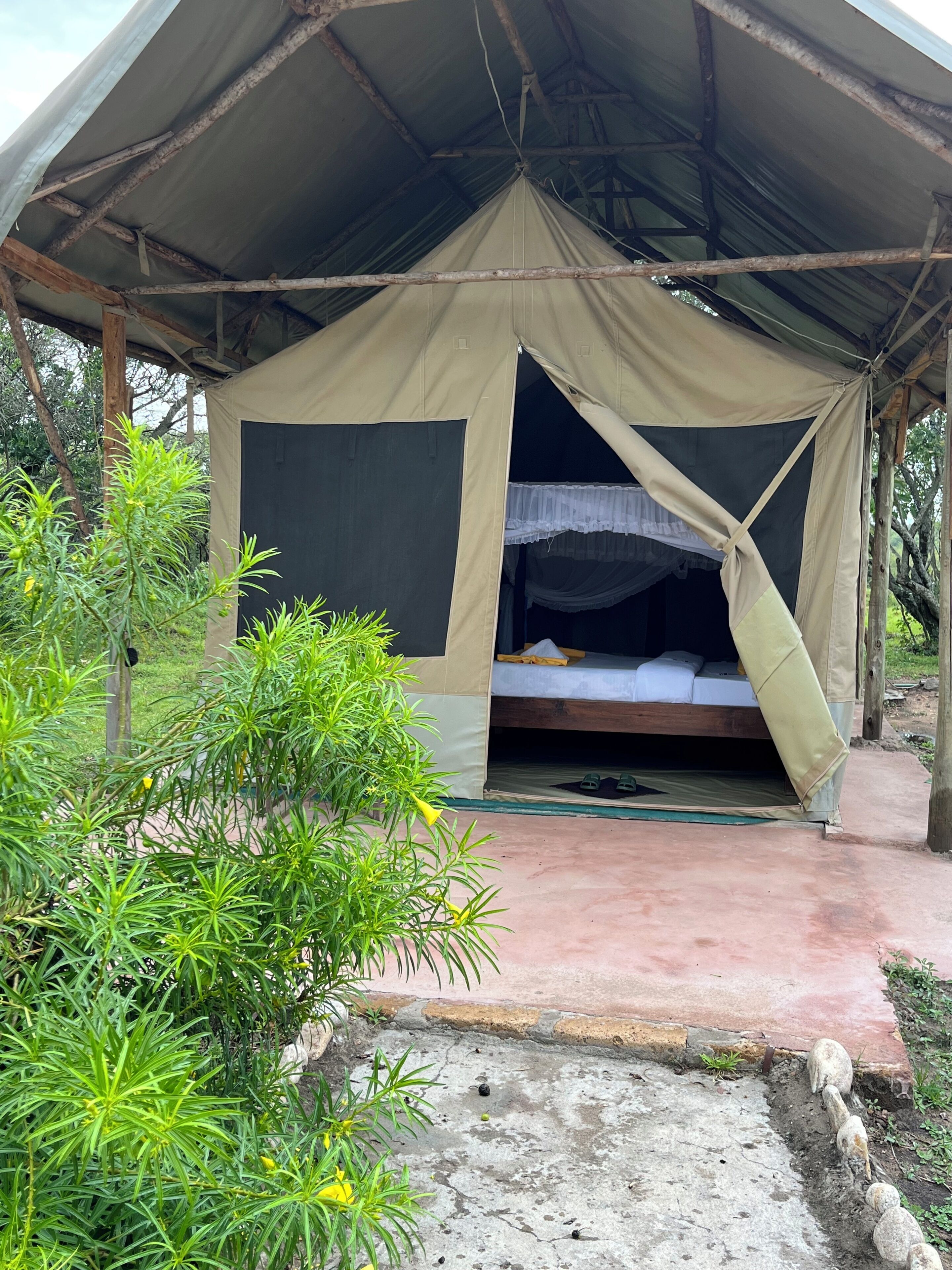 Chambre simple luxueuse, 1 très grand lit | Bureau, espace de travail pour ordinateurs portables