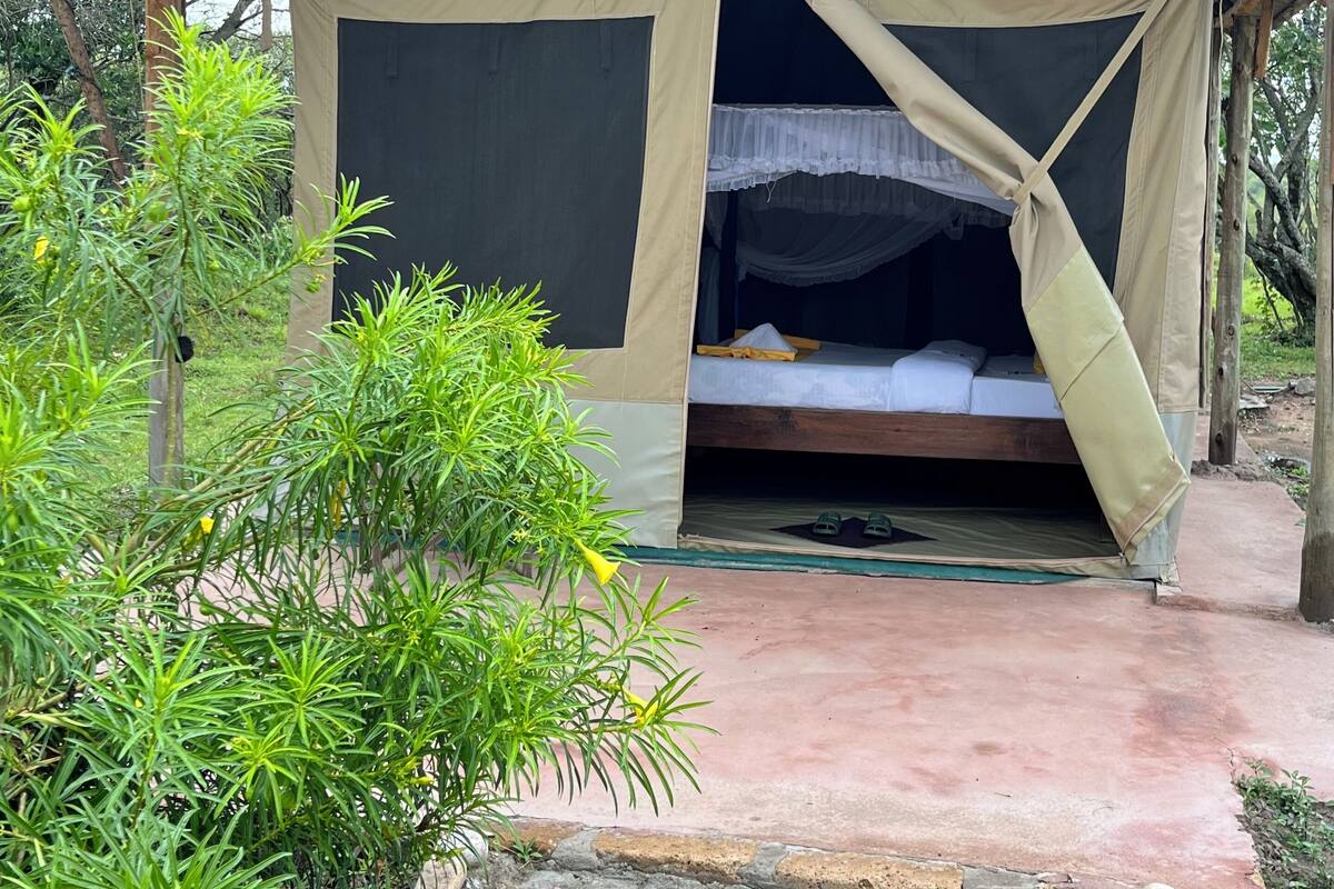A tent with a bed inside, surrounded by greenery.