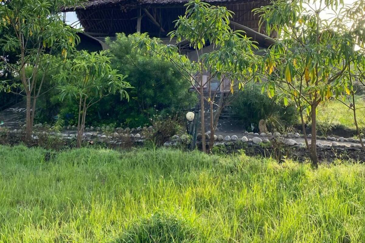 A traditional thatched-roof building surrounded by lush greenery and a stone wall.