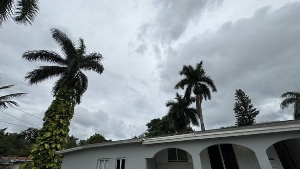 A building with a flat roof, a small porch with a single window, and a concrete pathway leading to the entrance. - Villa by Eco-shared (Miami)
