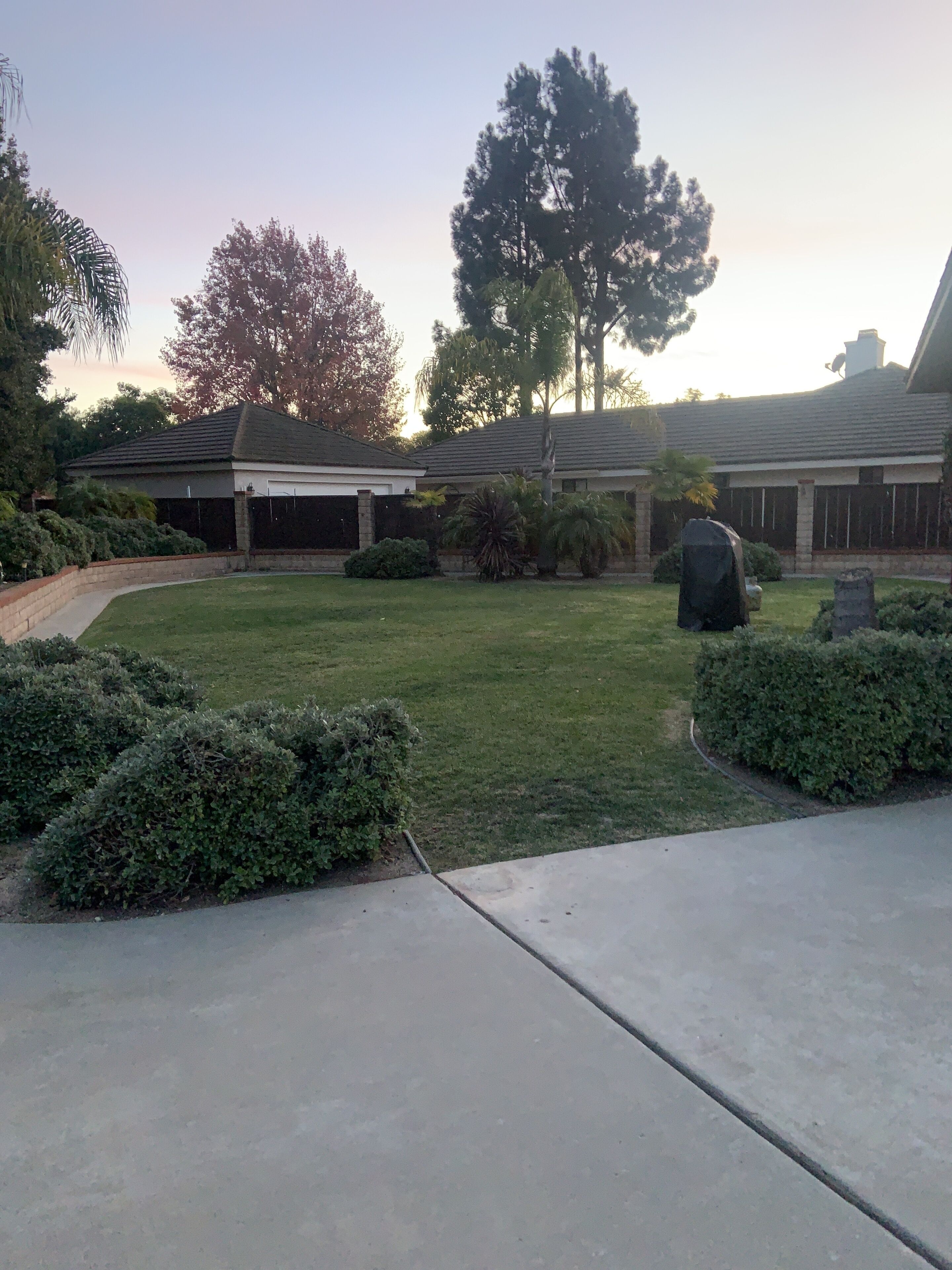 A residential backyard with a lawn, a stone wall, and a large tree.