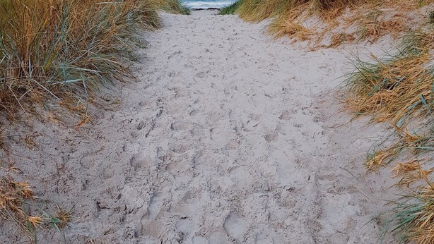 A sandy beach path leading to the ocean with dunes on either side. - "Kijas" holiday flat with private terrace and WLAN (Wismar)