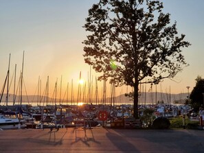 Una marina con barche ormeggiate, un albero in primo piano e un tramonto sullo sfondo.