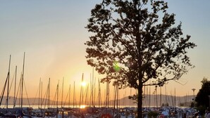 Een jachthaven met aangemeerde boten, een boom op de voorgrond en een ondergaande zon op de achtergrond.