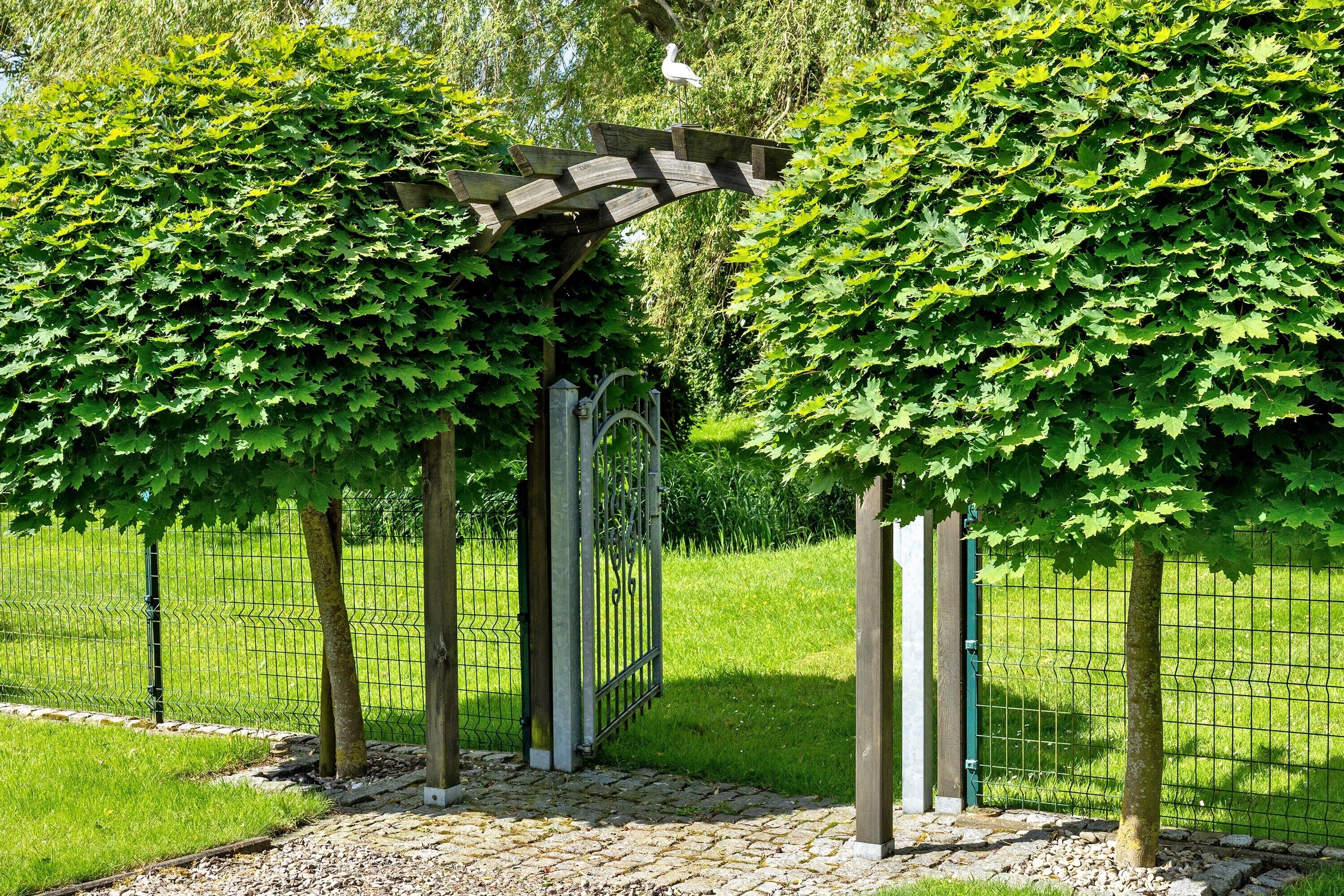 Enceinte de l’hébergement