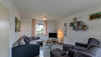 Una televisión, una chimenea