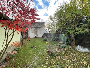 Een tuin met potplanten, een gazon en een boom met rode bladeren.