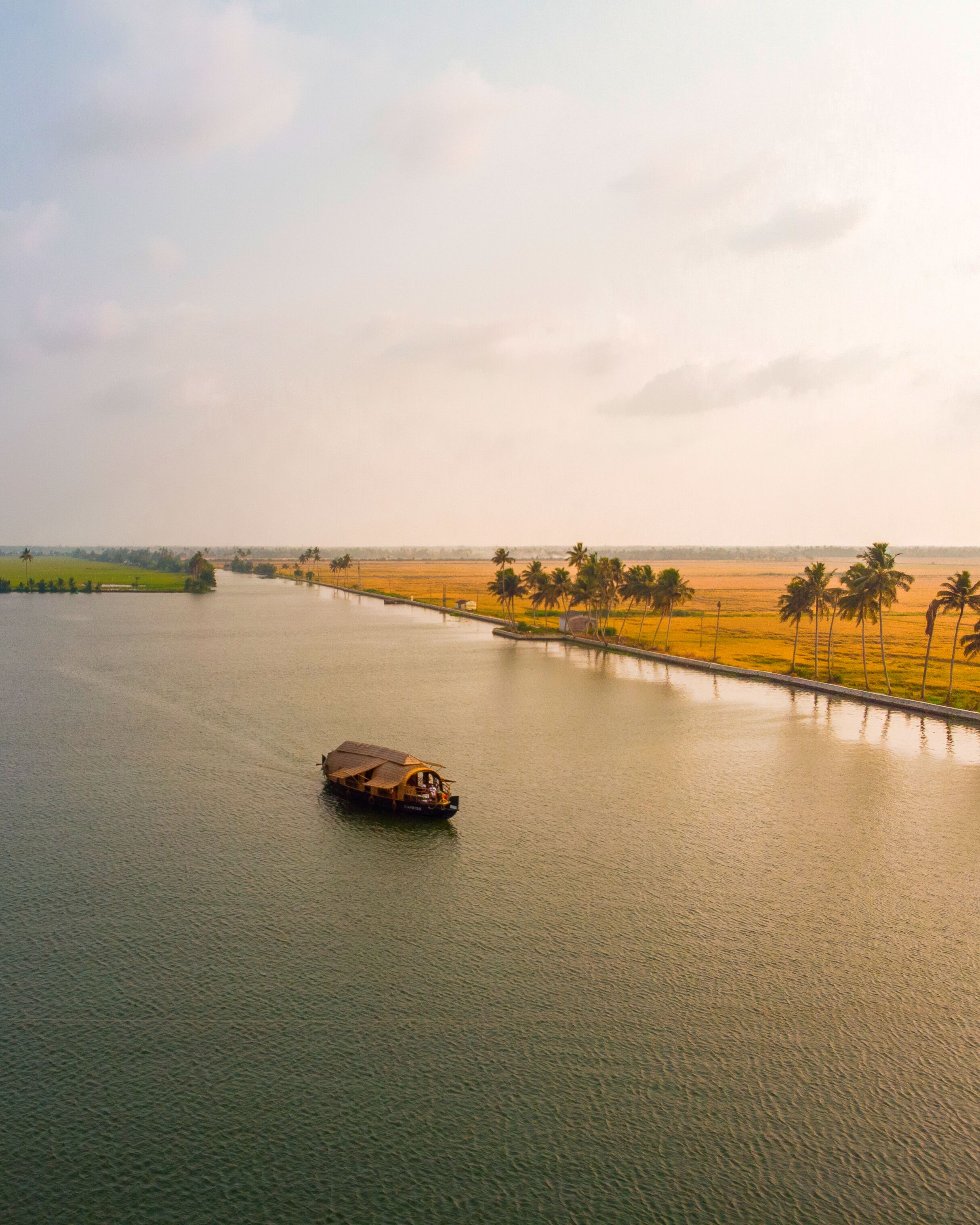 A river with a boat and palm trees along the banks.