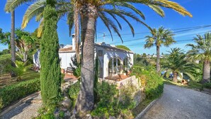 A villa with a paved driveway, surrounded by palm trees and lush greenery. - La Desirada - Javea, Costa Blanca (Javea)