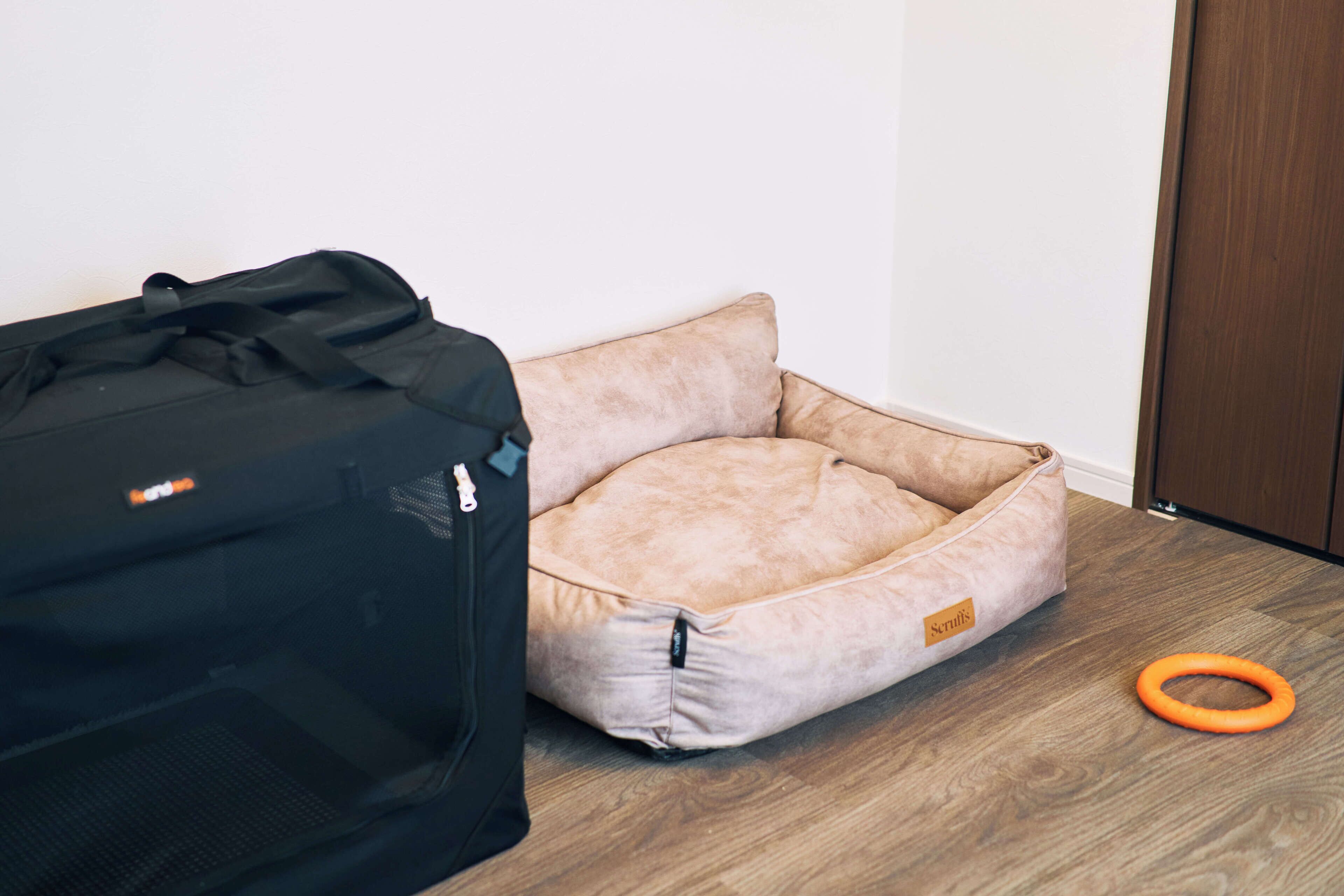 A room with a large black suitcase, a beige pet bed, and an orange toy on the floor.
