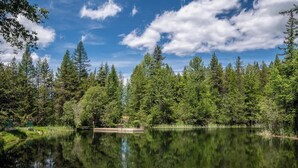 Un lago tranquilo rodeado de un bosque frondoso, cielo despejado y un pequeño muelle.