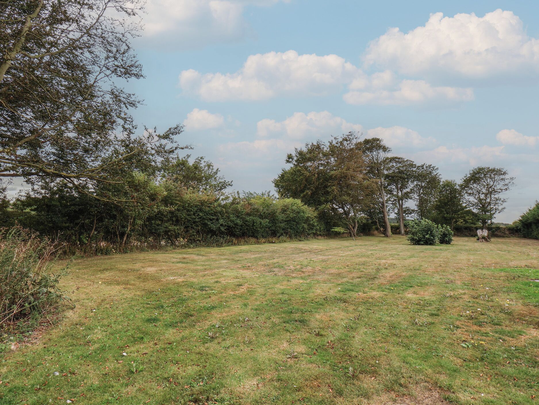 An open grassy field with scattered trees and bushes.