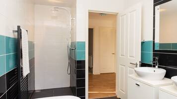 Shower, hair dryer