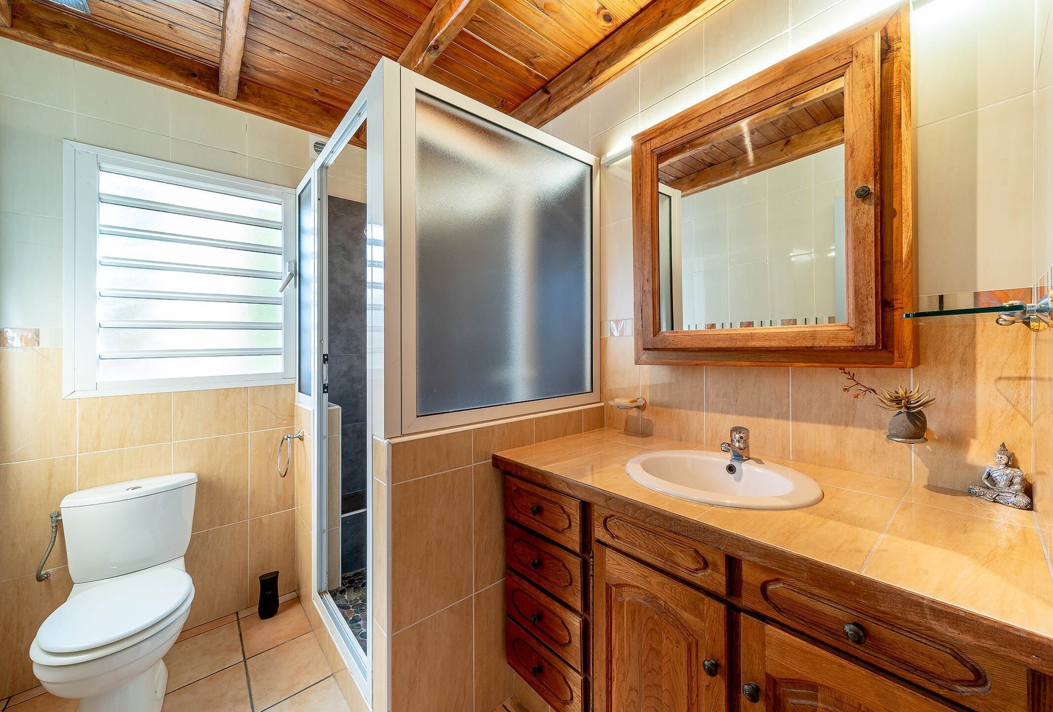 A bathroom with a toilet, a shower, a sink, and a wooden vanity with drawers.