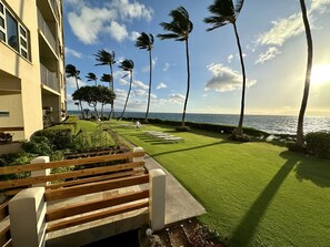 Property grounds - Beachfront South Kihei Road ~ Royal Mauian (Kihei)