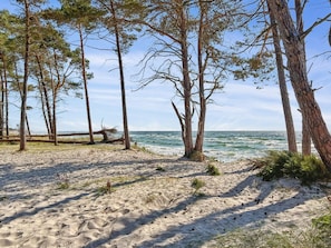 Uma praia com areia, árvores e o oceano.