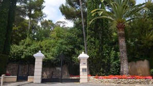 A gated entrance with a palm tree and a stone wall, surrounded by dense foliage.