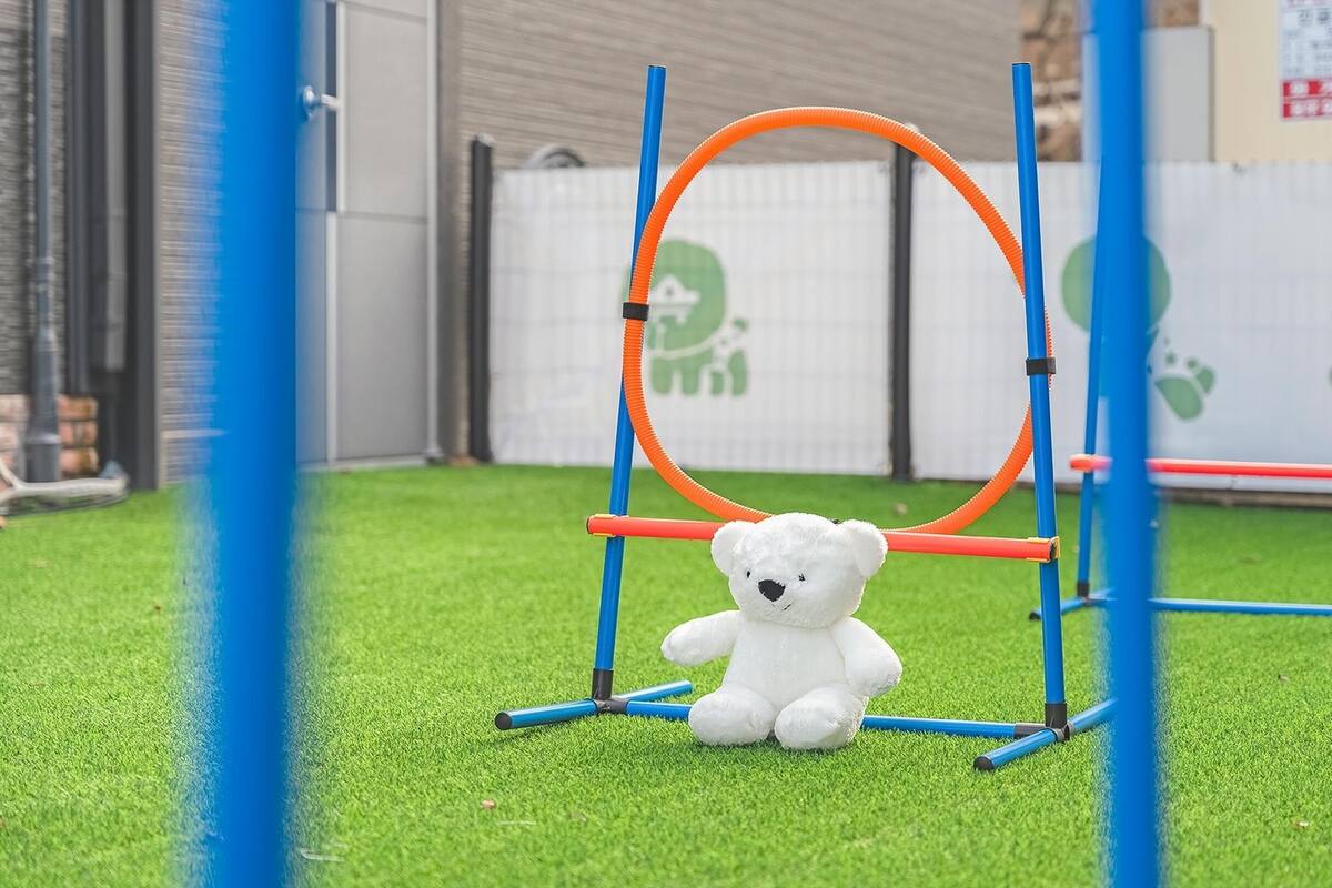 Un ours en peluche blanc est posé sur de l’herbe artificielle, avec un parcours d’obstacles bleu et orange en arrière-plan.