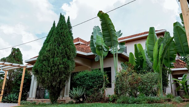 Een huis met een tuin, inclusief een grote boom, een kleinere boom en diverse planten.