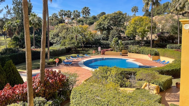 Una piscina envoltada de palmeres i jardins ben cuidats.