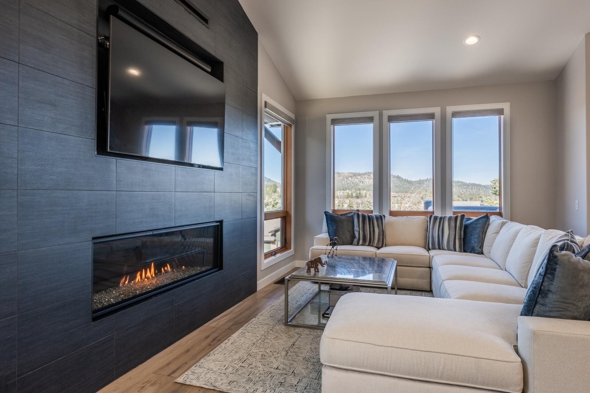 电视、壁炉、立体声音响