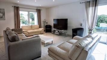 TV connectée, cheminée, livres