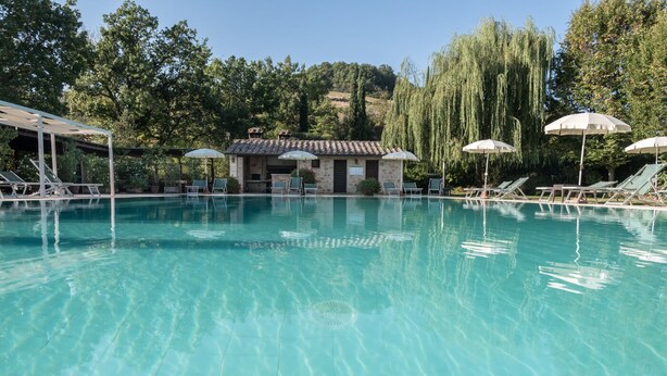 A clear swimming pool with lounge chairs and umbrellas, surrounded by trees and a small building. - ONE-ROOM APARTMENTS 8 COLLE VAL D’ELSA  (Casole d'Elsa)