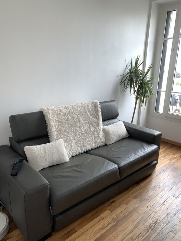 TV - Charmant 2 Pièces Clamart vue sur Tour Eiffel (Clamart)